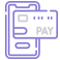 Secure Payment Options