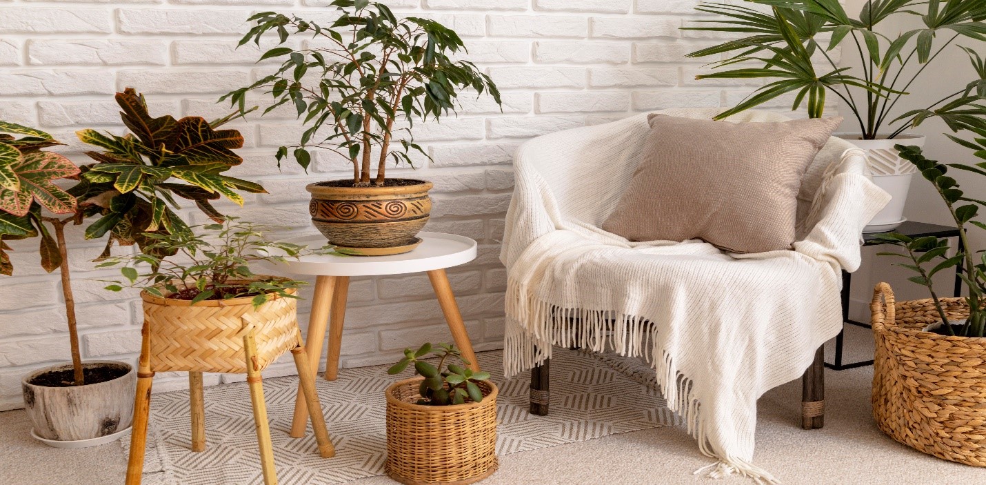 home decor ecommerce platform eco-friendly products
